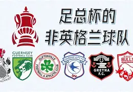 欧洲顶级联赛多支中游球队签下新援，引发关注