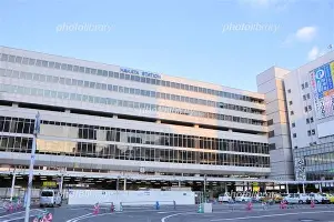 关于马德里竞技成为黑马,决赛前赛场上强劲竞争的信息 关于马德里竞技成为黑马,决赛前赛场上强劲竞争的信息
